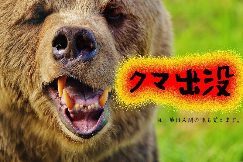 クマ出没注意