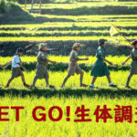 子供たちの生態調査