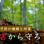 森林を守る
