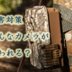 トレイルカメラ