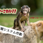 猿の親子