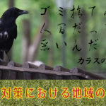 公園にいるカラス