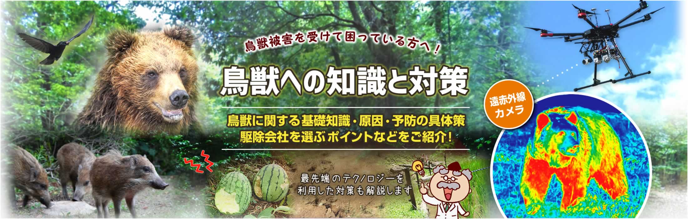 鳥獣対策